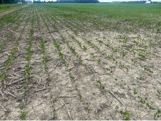 Property photo 70 - LAND AUCTION - 60.5+/- ACRES OFFERED IN 3 TRACTS IN PAULDING COUNTY, OHIO