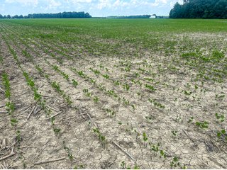 Property photo 69 - LAND AUCTION - 60.5+/- ACRES OFFERED IN 3 TRACTS IN PAULDING COUNTY, OHIO