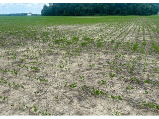 Property photo 68 - LAND AUCTION - 60.5+/- ACRES OFFERED IN 3 TRACTS IN PAULDING COUNTY, OHIO