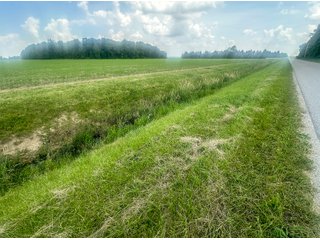 Property photo 67 - LAND AUCTION - 60.5+/- ACRES OFFERED IN 3 TRACTS IN PAULDING COUNTY, OHIO