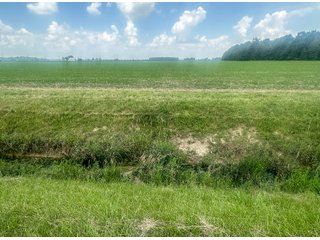 Property photo 66 - LAND AUCTION - 60.5+/- ACRES OFFERED IN 3 TRACTS IN PAULDING COUNTY, OHIO