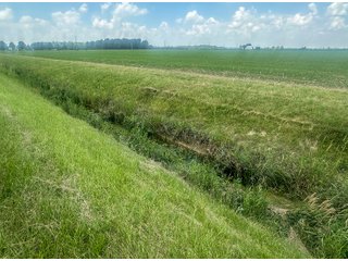 Property photo 65 - LAND AUCTION - 60.5+/- ACRES OFFERED IN 3 TRACTS IN PAULDING COUNTY, OHIO
