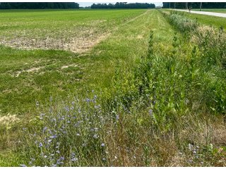 Property photo 63 - LAND AUCTION - 60.5+/- ACRES OFFERED IN 3 TRACTS IN PAULDING COUNTY, OHIO