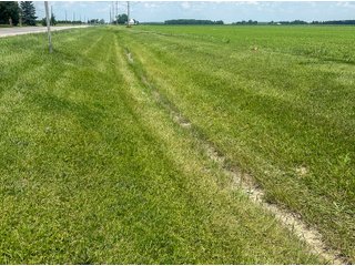Property photo 61 - LAND AUCTION - 60.5+/- ACRES OFFERED IN 3 TRACTS IN PAULDING COUNTY, OHIO