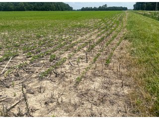 Property photo 60 - LAND AUCTION - 60.5+/- ACRES OFFERED IN 3 TRACTS IN PAULDING COUNTY, OHIO