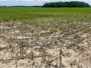 Property photo 58 - LAND AUCTION - 60.5+/- ACRES OFFERED IN 3 TRACTS IN PAULDING COUNTY, OHIO