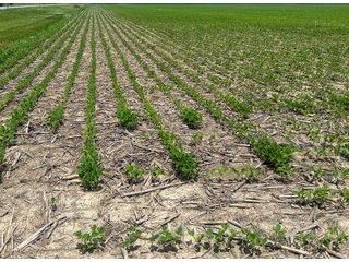 Property photo 57 - LAND AUCTION - 60.5+/- ACRES OFFERED IN 3 TRACTS IN PAULDING COUNTY, OHIO