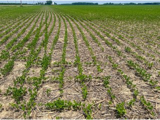 Property photo 56 - LAND AUCTION - 60.5+/- ACRES OFFERED IN 3 TRACTS IN PAULDING COUNTY, OHIO