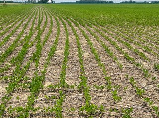 Property photo 55 - LAND AUCTION - 60.5+/- ACRES OFFERED IN 3 TRACTS IN PAULDING COUNTY, OHIO