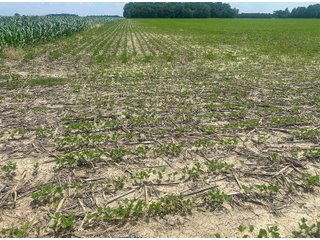 Property photo 21 - LAND AUCTION - 60.5+/- ACRES OFFERED IN 3 TRACTS IN PAULDING COUNTY, OHIO