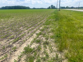 Property photo 19 - LAND AUCTION - 60.5+/- ACRES OFFERED IN 3 TRACTS IN PAULDING COUNTY, OHIO