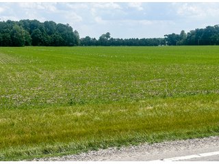 Property photo 17 - LAND AUCTION - 60.5+/- ACRES OFFERED IN 3 TRACTS IN PAULDING COUNTY, OHIO
