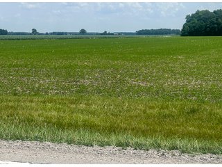 Property photo 16 - LAND AUCTION - 60.5+/- ACRES OFFERED IN 3 TRACTS IN PAULDING COUNTY, OHIO