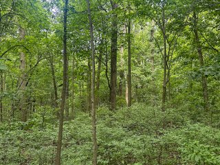 Property photo 12 - LAND AUCTION - 60.5+/- ACRES OFFERED IN 3 TRACTS IN PAULDING COUNTY, OHIO