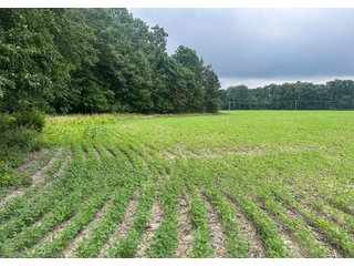 Property photo 11 - LAND AUCTION - 60.5+/- ACRES OFFERED IN 3 TRACTS IN PAULDING COUNTY, OHIO