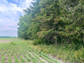 Property photo 10 - LAND AUCTION - 60.5+/- ACRES OFFERED IN 3 TRACTS IN PAULDING COUNTY, OHIO