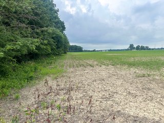 Property photo 29 - LAND AUCTION - 60.5+/- ACRES OFFERED IN 3 TRACTS IN PAULDING COUNTY, OHIO