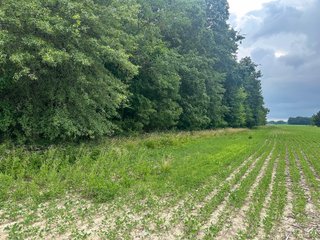 Property photo 35 - LAND AUCTION - 60.5+/- ACRES OFFERED IN 3 TRACTS IN PAULDING COUNTY, OHIO
