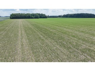 Property photo 33 - LAND AUCTION - 60.5+/- ACRES OFFERED IN 3 TRACTS IN PAULDING COUNTY, OHIO