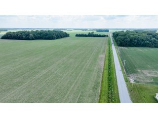 Property photo 31 - LAND AUCTION - 60.5+/- ACRES OFFERED IN 3 TRACTS IN PAULDING COUNTY, OHIO