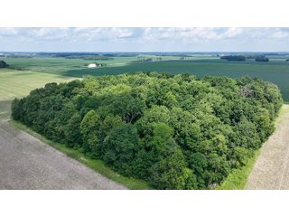 Property photo 2 - LAND AUCTION - 60.5+/- ACRES OFFERED IN 3 TRACTS IN PAULDING COUNTY, OHIO