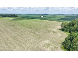 Property photo 26 - LAND AUCTION - 60.5+/- ACRES OFFERED IN 3 TRACTS IN PAULDING COUNTY, OHIO