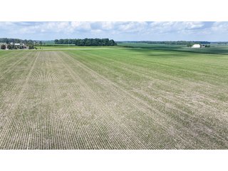 Property photo 25 - LAND AUCTION - 60.5+/- ACRES OFFERED IN 3 TRACTS IN PAULDING COUNTY, OHIO