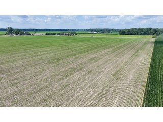 Property photo 24 - LAND AUCTION - 60.5+/- ACRES OFFERED IN 3 TRACTS IN PAULDING COUNTY, OHIO