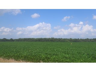 Property photo 3 - LAND AUCTION - 494.63+/- ACRES OFFERED IN 10 TRACTS IN AUDRAIN & MONROE COUNTIES MISSOURI