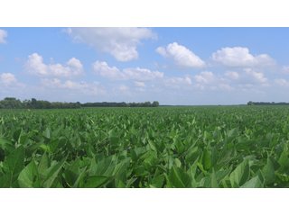 Property photo 4 - LAND AUCTION - 494.63+/- ACRES OFFERED IN 10 TRACTS IN AUDRAIN & MONROE COUNTIES MISSOURI