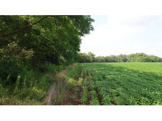 Property photo 5 - LAND AUCTION - 494.63+/- ACRES OFFERED IN 10 TRACTS IN AUDRAIN & MONROE COUNTIES MISSOURI