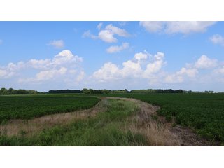 Tract 1 & 2 - LAND AUCTION - 494.63+/- ACRES OFFERED IN 10 TRACTS IN AUDRAIN & MONROE COUNTIES MISSOURI