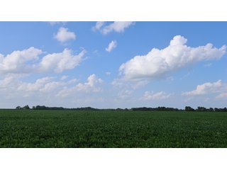 Property photo 11 - LAND AUCTION - 494.63+/- ACRES OFFERED IN 10 TRACTS IN AUDRAIN & MONROE COUNTIES MISSOURI