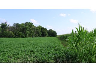 Property photo 106 - LAND AUCTION - 494.63+/- ACRES OFFERED IN 10 TRACTS IN AUDRAIN & MONROE COUNTIES MISSOURI