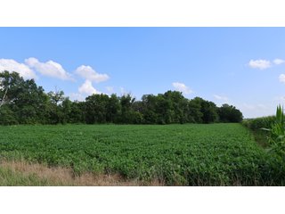 Property photo 108 - LAND AUCTION - 494.63+/- ACRES OFFERED IN 10 TRACTS IN AUDRAIN & MONROE COUNTIES MISSOURI