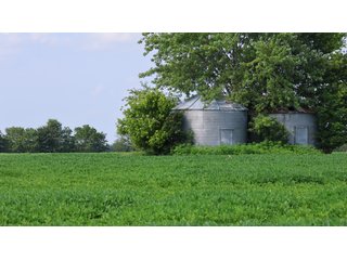 Property photo 16 - LAND AUCTION - 494.63+/- ACRES OFFERED IN 10 TRACTS IN AUDRAIN & MONROE COUNTIES MISSOURI