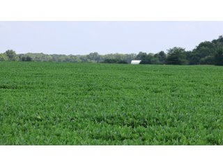 Property photo 109 - LAND AUCTION - 494.63+/- ACRES OFFERED IN 10 TRACTS IN AUDRAIN & MONROE COUNTIES MISSOURI