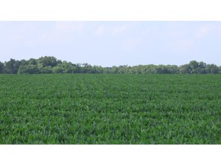 Property photo 13 - LAND AUCTION - 494.63+/- ACRES OFFERED IN 10 TRACTS IN AUDRAIN & MONROE COUNTIES MISSOURI