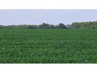 Property photo 14 - LAND AUCTION - 494.63+/- ACRES OFFERED IN 10 TRACTS IN AUDRAIN & MONROE COUNTIES MISSOURI