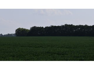 Property photo 15 - LAND AUCTION - 494.63+/- ACRES OFFERED IN 10 TRACTS IN AUDRAIN & MONROE COUNTIES MISSOURI