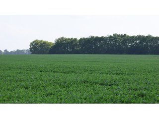 Property photo 17 - LAND AUCTION - 494.63+/- ACRES OFFERED IN 10 TRACTS IN AUDRAIN & MONROE COUNTIES MISSOURI