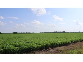 Property photo 96 - LAND AUCTION - 494.63+/- ACRES OFFERED IN 10 TRACTS IN AUDRAIN & MONROE COUNTIES MISSOURI