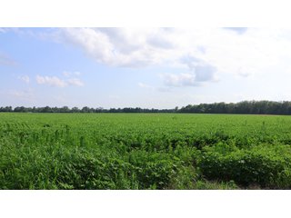 Property photo 135 - LAND AUCTION - 494.63+/- ACRES OFFERED IN 10 TRACTS IN AUDRAIN & MONROE COUNTIES MISSOURI