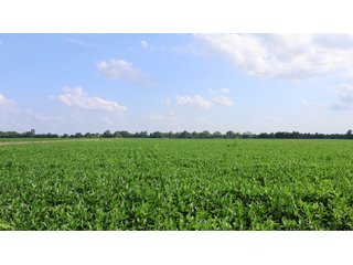 Property photo 136 - LAND AUCTION - 494.63+/- ACRES OFFERED IN 10 TRACTS IN AUDRAIN & MONROE COUNTIES MISSOURI
