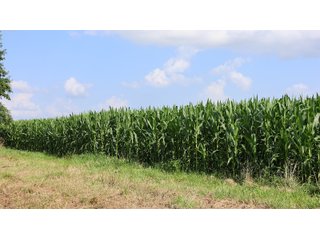 Property photo 170 - LAND AUCTION - 494.63+/- ACRES OFFERED IN 10 TRACTS IN AUDRAIN & MONROE COUNTIES MISSOURI
