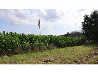 Property photo 171 - LAND AUCTION - 494.63+/- ACRES OFFERED IN 10 TRACTS IN AUDRAIN & MONROE COUNTIES MISSOURI