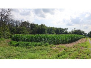 Property photo 172 - LAND AUCTION - 494.63+/- ACRES OFFERED IN 10 TRACTS IN AUDRAIN & MONROE COUNTIES MISSOURI