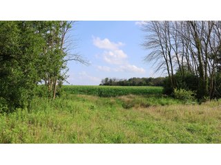 Property photo 173 - LAND AUCTION - 494.63+/- ACRES OFFERED IN 10 TRACTS IN AUDRAIN & MONROE COUNTIES MISSOURI