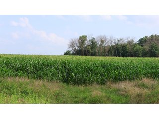 Property photo 174 - LAND AUCTION - 494.63+/- ACRES OFFERED IN 10 TRACTS IN AUDRAIN & MONROE COUNTIES MISSOURI