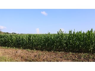Property photo 155 - LAND AUCTION - 494.63+/- ACRES OFFERED IN 10 TRACTS IN AUDRAIN & MONROE COUNTIES MISSOURI
